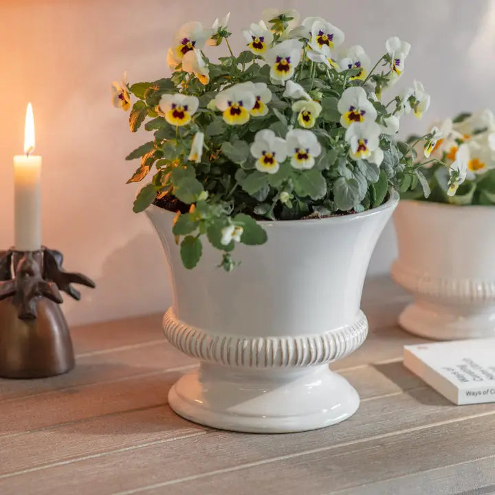Hinton Planter