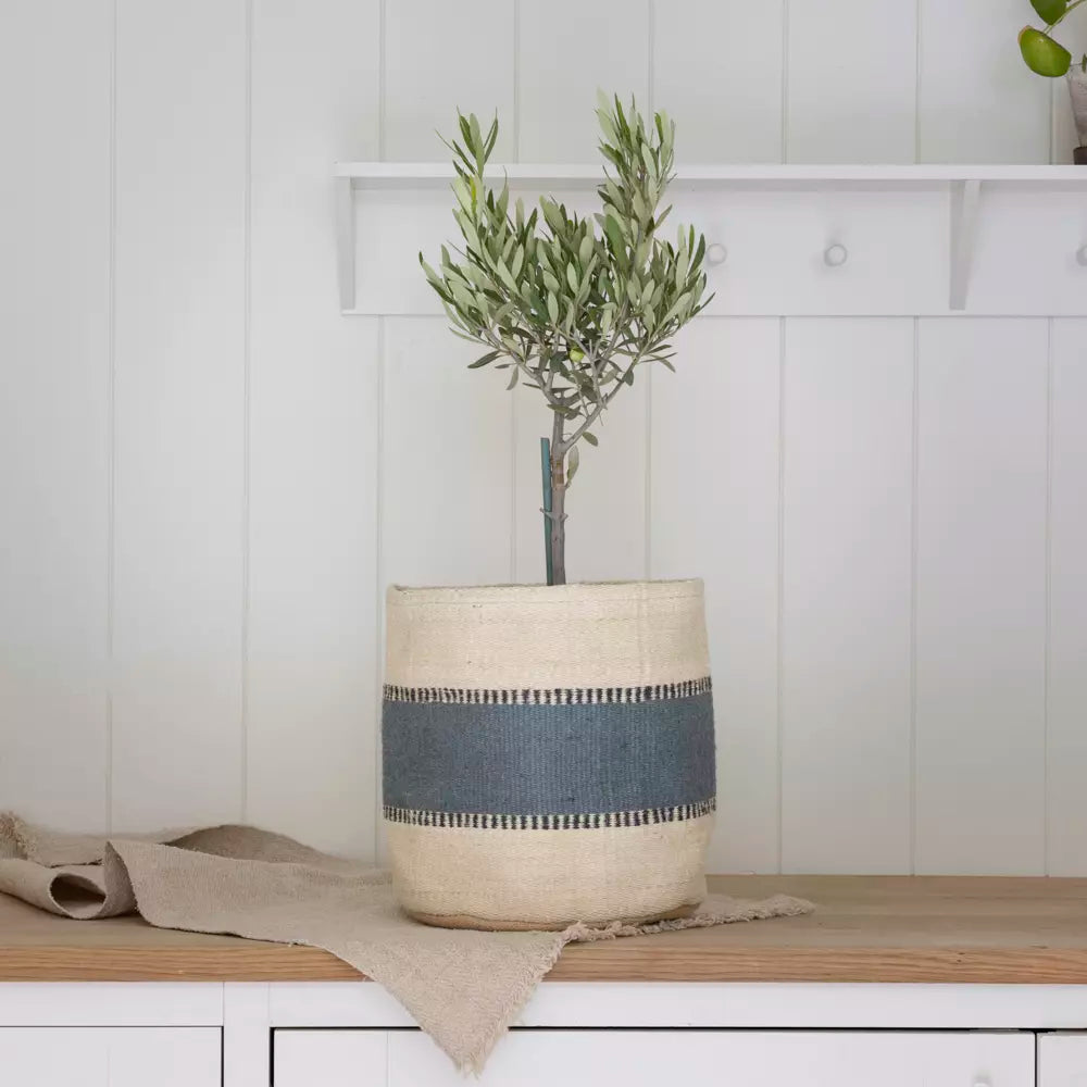 Jute planter blue