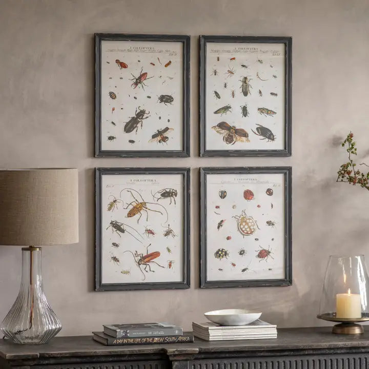 OW Prints
