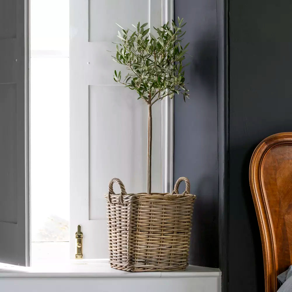 Small lined planter