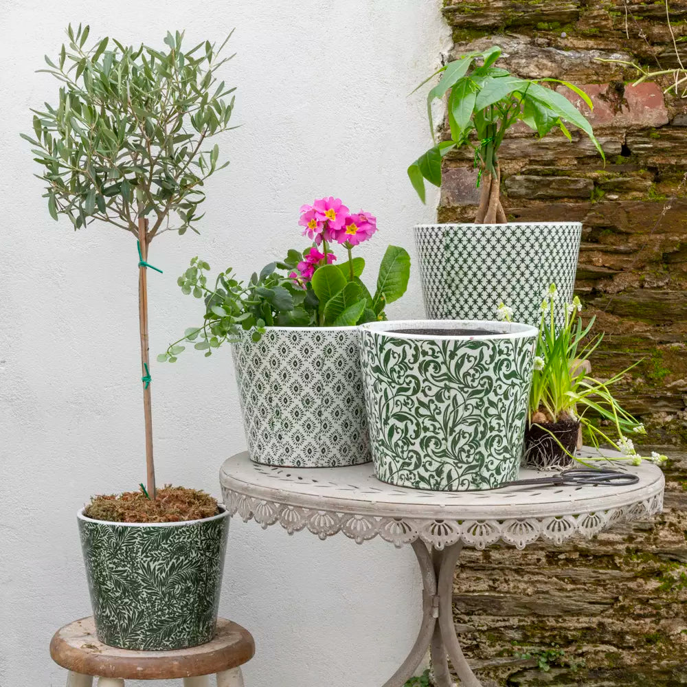 Green pot