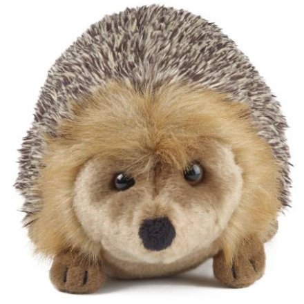 Hedgehog