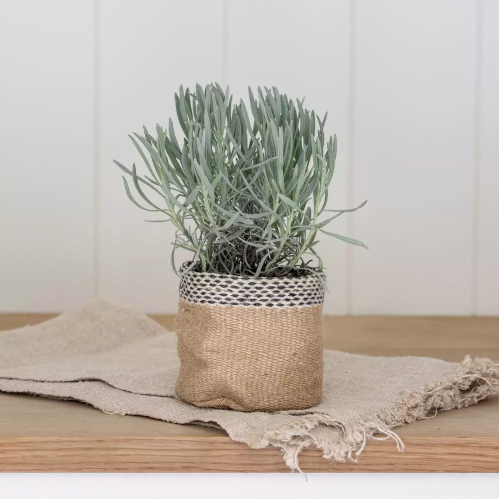 Jute planter natural small